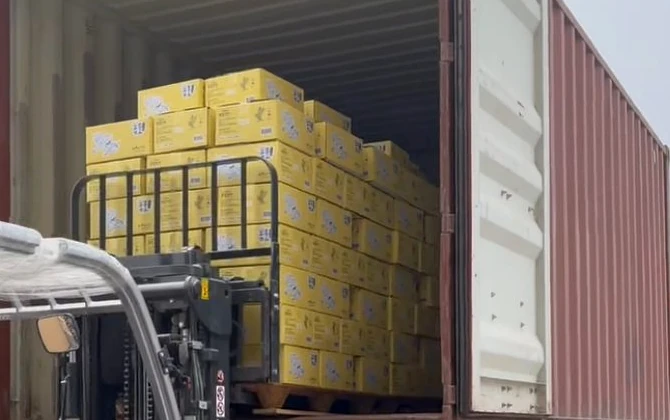 Forklift loading stacked yellow cartons of cat litter into a shipping container at the Gormeet factory