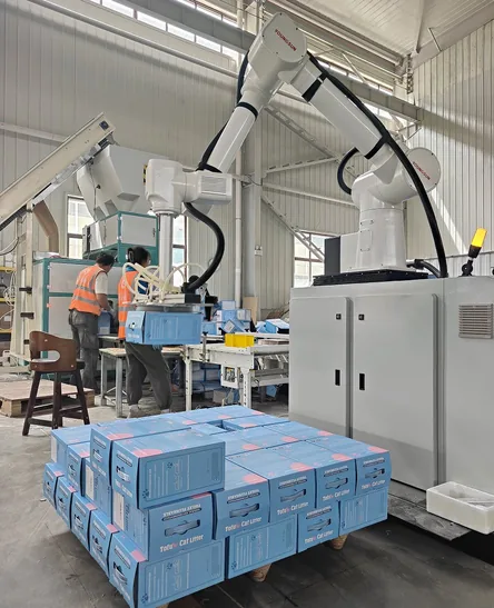 Automated packaging line with vacuum sealing