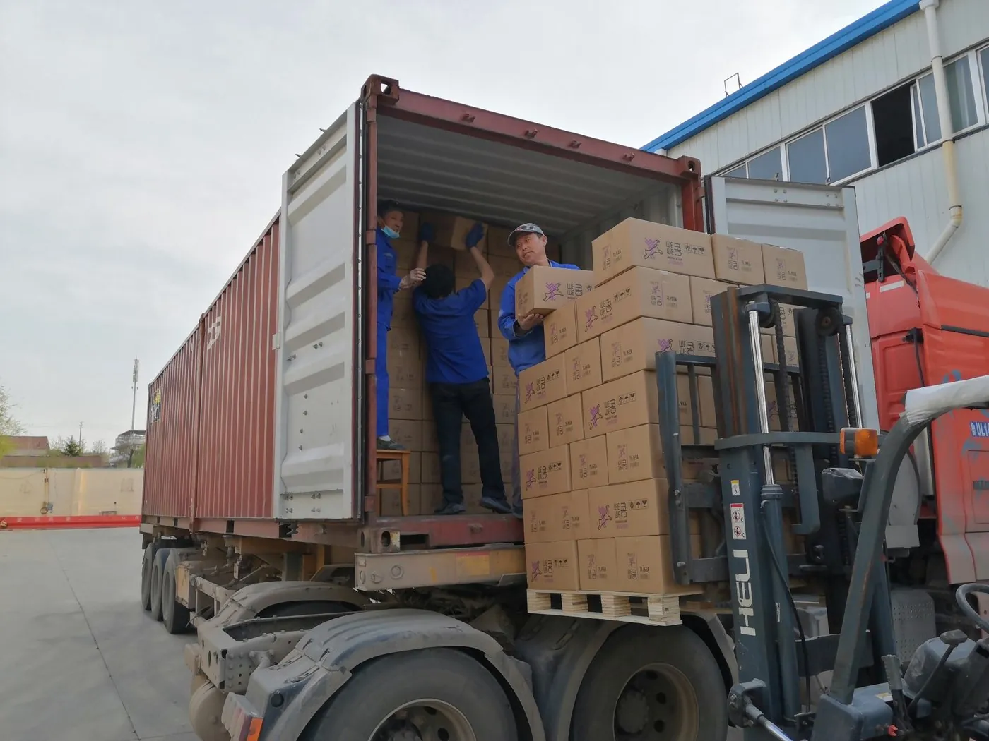 Cat litter bags being loaded into shipping container