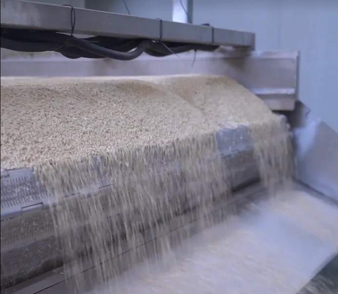 Finished pellets exiting production line